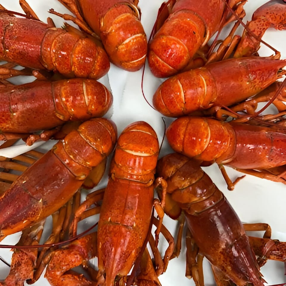 A close-up, overhead view of several bright red cooked lobsters arranged in a circle on a white surface.